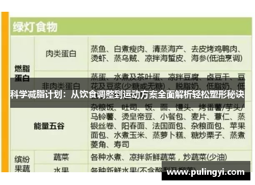 科学减脂计划：从饮食调整到运动方案全面解析轻松塑形秘诀